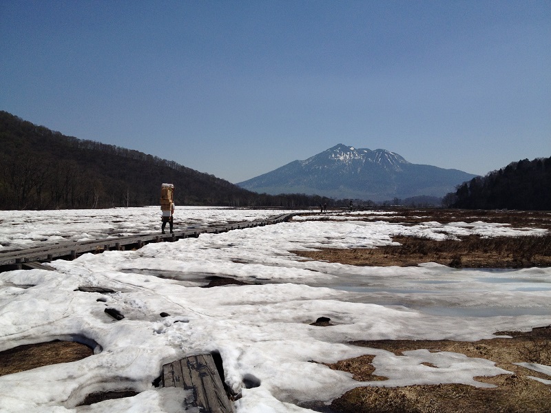 ブログ 群馬 老神温泉の旅館 源泉湯の宿 紫翠亭 水芭蕉のシーズンまであと少し 尾瀬ヶ原周辺の残雪状況 17年5月下旬